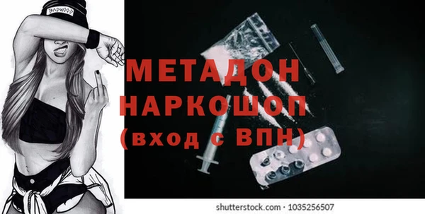 стаф Алексин