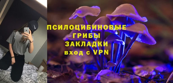стаф Алексин