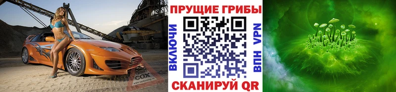 Псилоцибиновые грибы мухоморы  Дмитров 