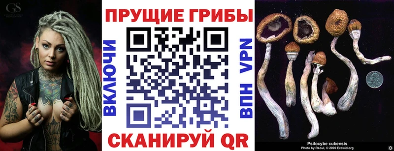 Псилоцибиновые грибы MAGIC MUSHROOMS Дмитров